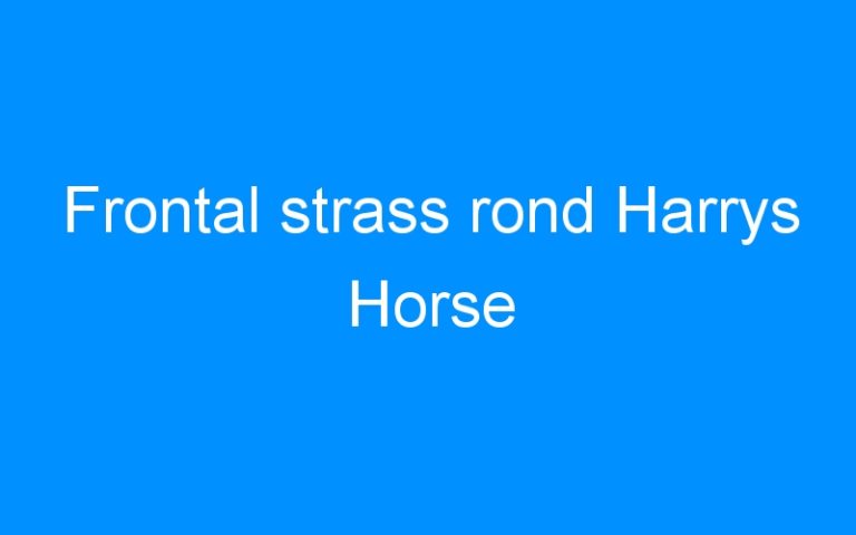 Frontal strass rond Harrys Horse