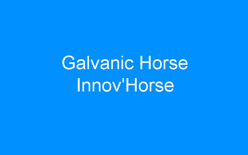 Galvanic Horse Innov’Horse