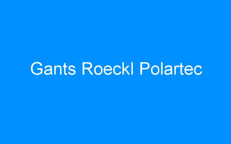 Lire la suite à propos de l’article Gants Roeckl Polartec