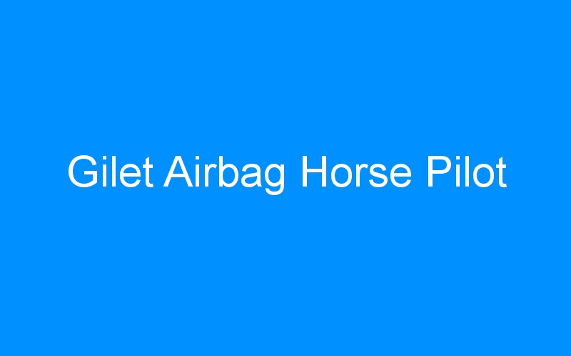You are currently viewing Gilet Airbag Horse Pilot