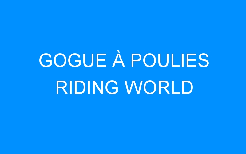 You are currently viewing GOGUE À POULIES RIDING WORLD