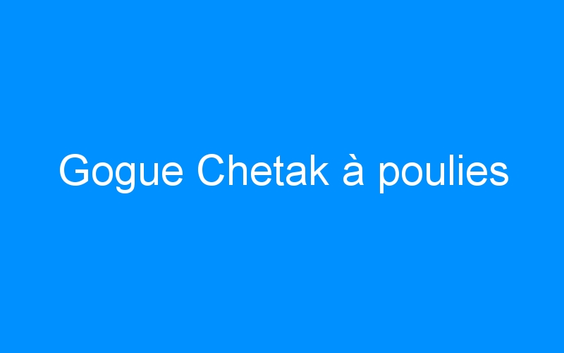 You are currently viewing Gogue Chetak à poulies