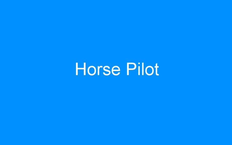 Lire la suite à propos de l’article Horse Pilot