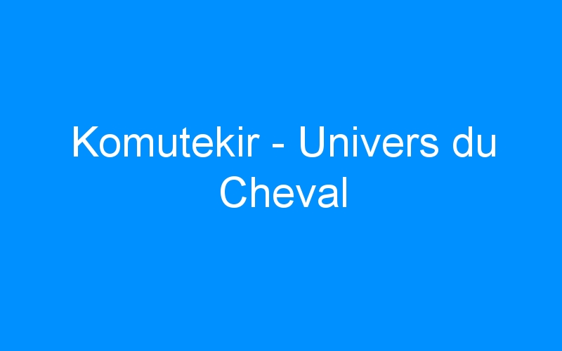 You are currently viewing Komutekir – Univers du Cheval