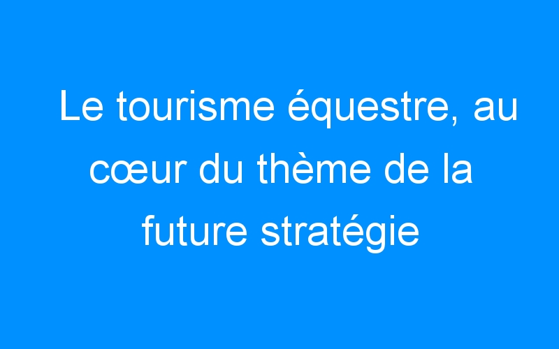 You are currently viewing Le tourisme équestre, au cœur du thème de la future stratégie