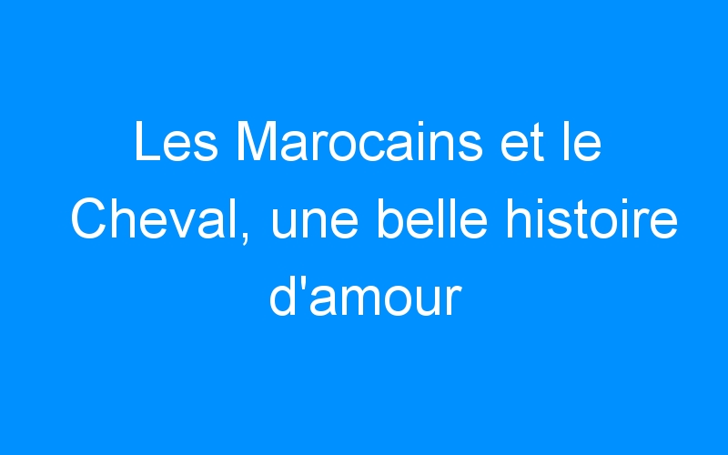 You are currently viewing Les Marocains et le Cheval, une belle histoire d’amour
