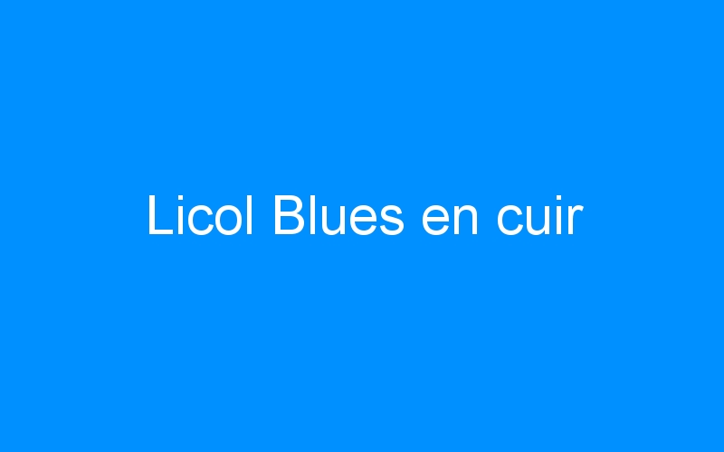 You are currently viewing Licol Blues en cuir