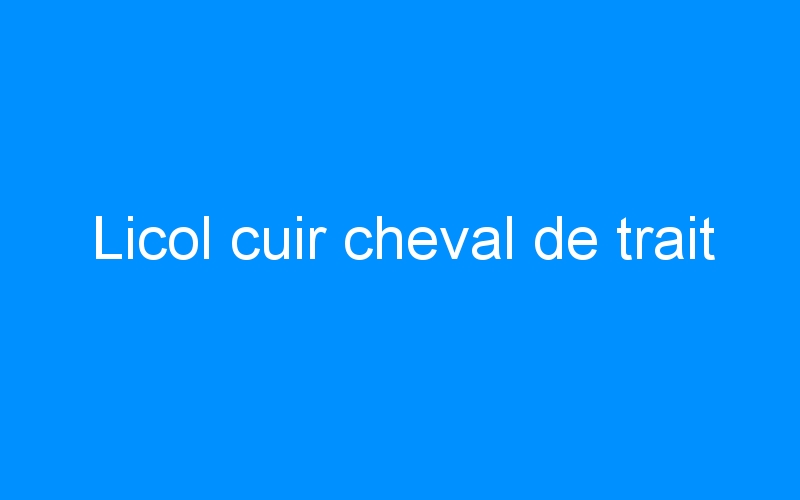 You are currently viewing Licol cuir cheval de trait