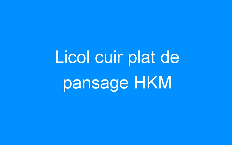 You are currently viewing Licol cuir plat de pansage HKM
