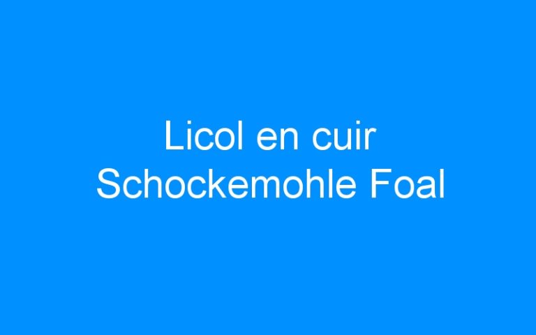 Lire la suite à propos de l’article Licol en cuir Schockemohle Foal