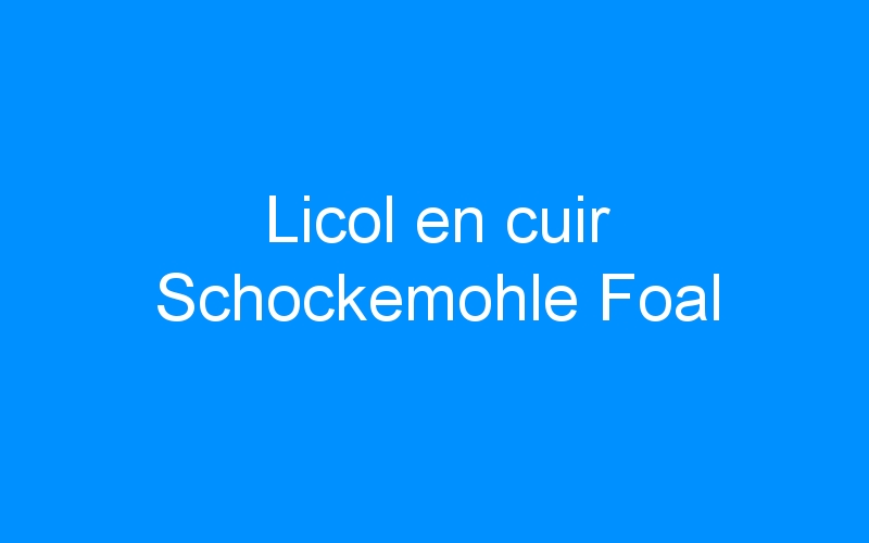 You are currently viewing Licol en cuir Schockemohle Foal