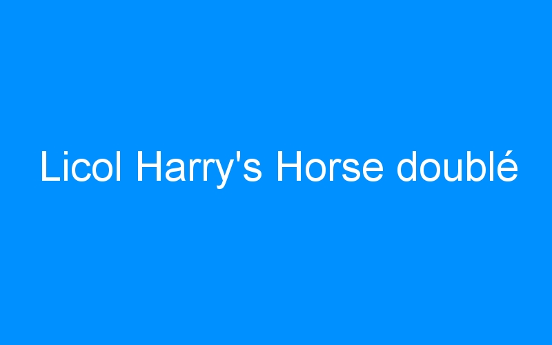 You are currently viewing Licol Harry’s Horse doublé