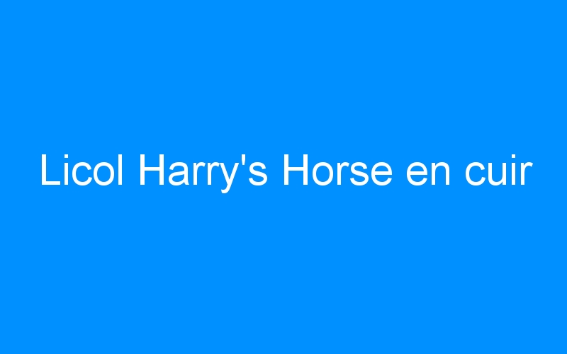 You are currently viewing Licol Harry’s Horse en cuir