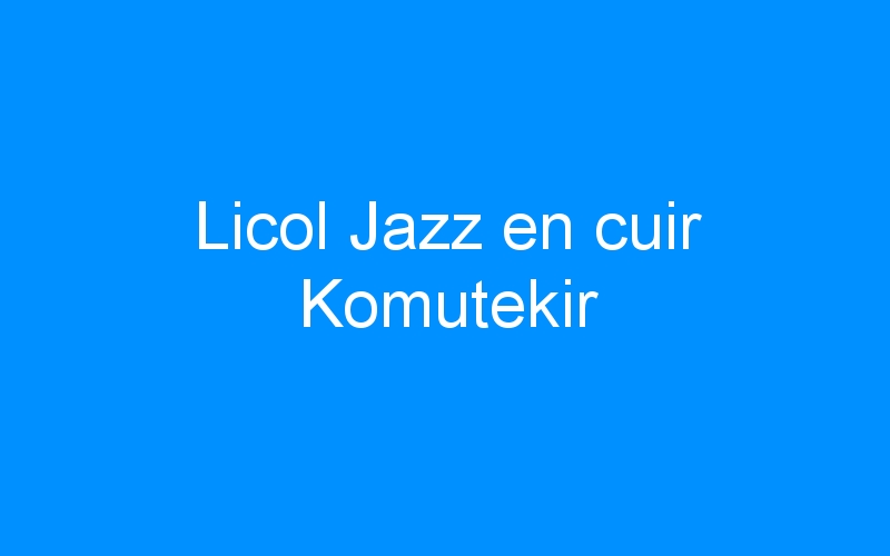 You are currently viewing Licol Jazz en cuir Komutekir