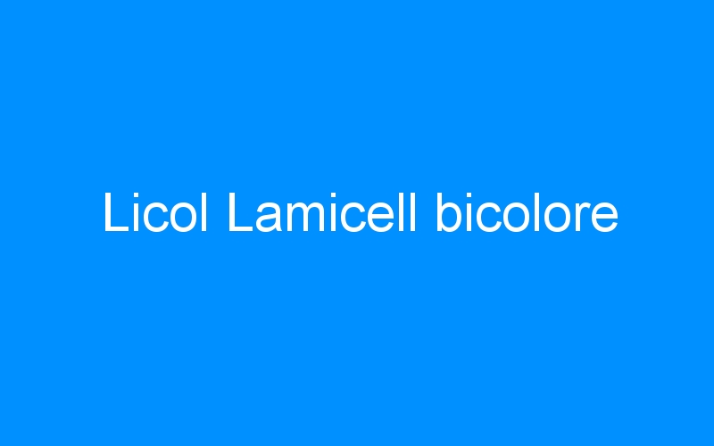 You are currently viewing Licol Lamicell bicolore