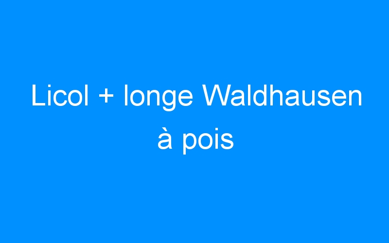 You are currently viewing Licol + longe Waldhausen à pois
