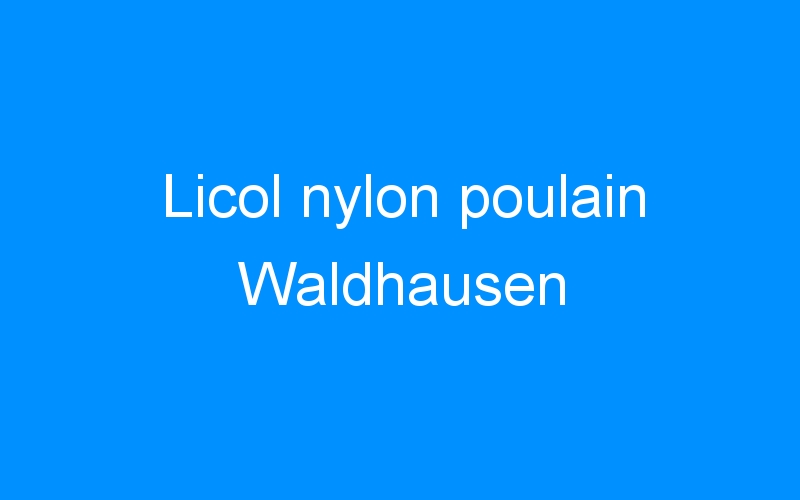Licol nylon poulain Waldhausen