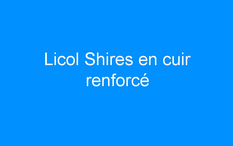 You are currently viewing Licol Shires en cuir renforcé