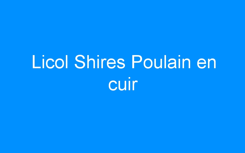 You are currently viewing Licol Shires Poulain en cuir