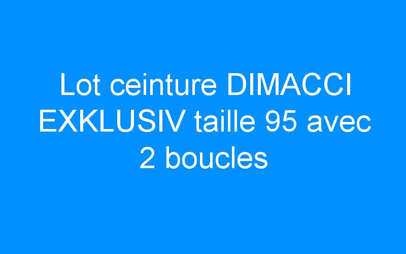 You are currently viewing Lot ceinture DIMACCI EXKLUSIV taille 95 avec 2 boucles
