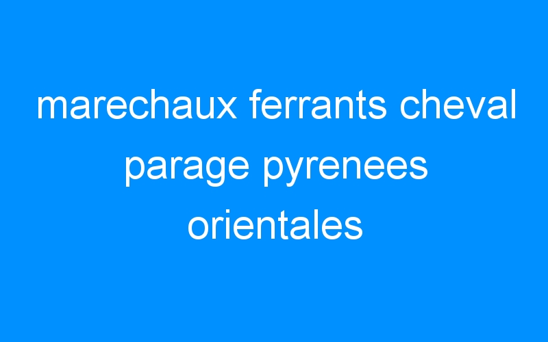 You are currently viewing marechaux ferrants cheval parage pyrenees orientales