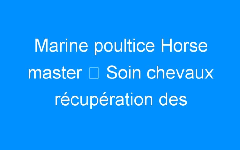 Marine poultice Horse master ⇒ Soin chevaux récupération des membres