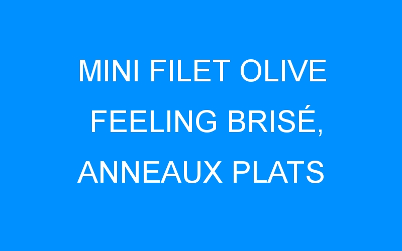 You are currently viewing MINI FILET OLIVE FEELING BRISÉ, ANNEAUX PLATS