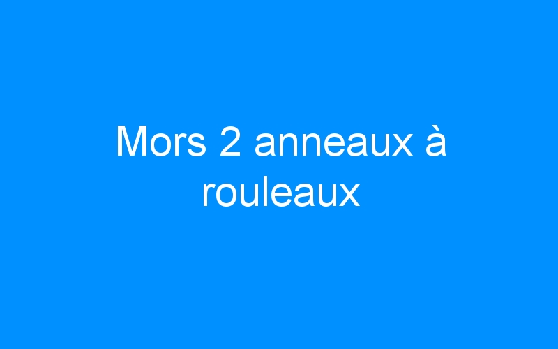 You are currently viewing Mors 2 anneaux à rouleaux