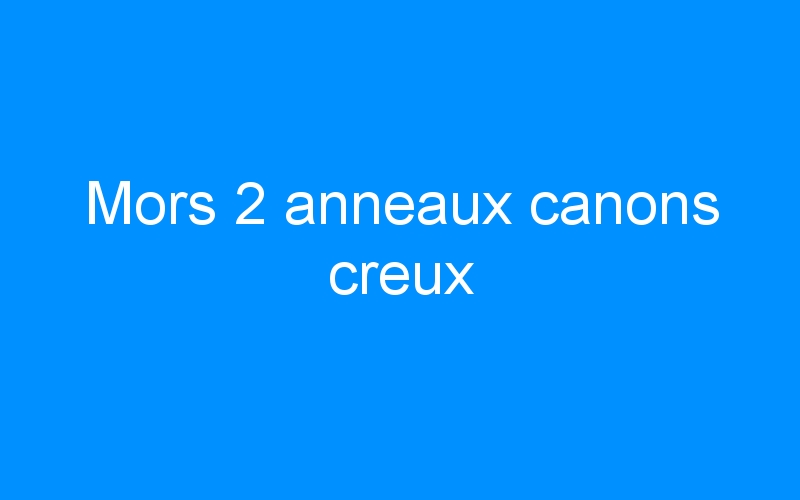 You are currently viewing Mors 2 anneaux canons creux