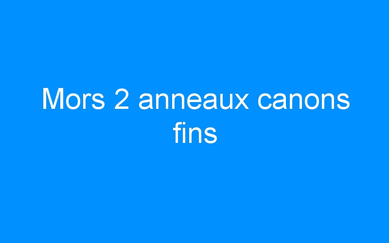 You are currently viewing Mors 2 anneaux canons fins