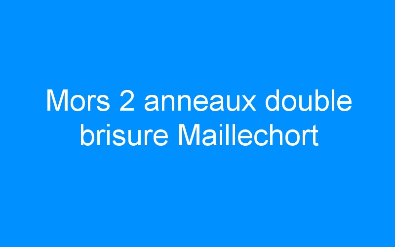 You are currently viewing Mors 2 anneaux double brisure Maillechort
