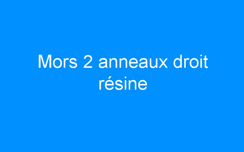 You are currently viewing Mors 2 anneaux droit résine
