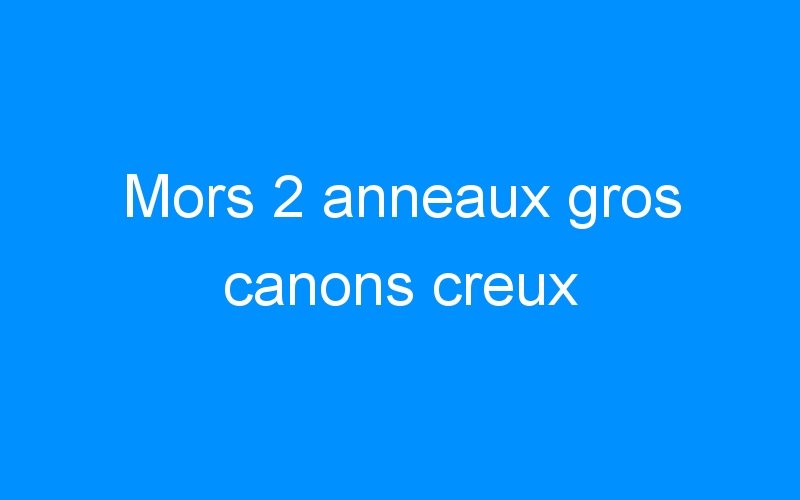 You are currently viewing Mors 2 anneaux gros canons creux