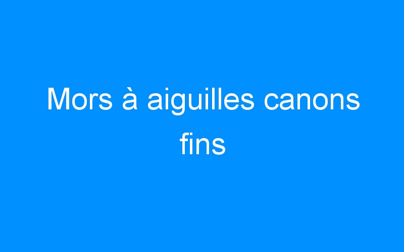 You are currently viewing Mors à aiguilles canons fins