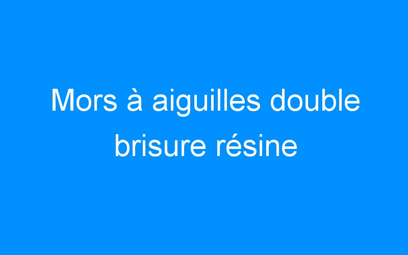 You are currently viewing Mors à aiguilles double brisure résine