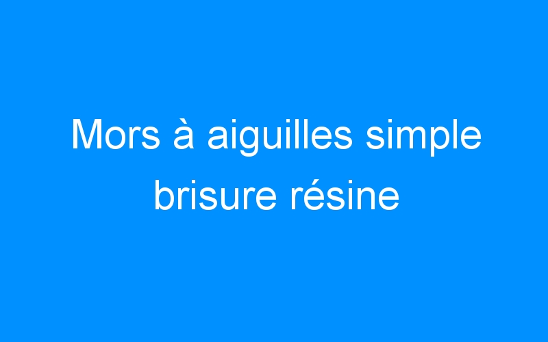 You are currently viewing Mors à aiguilles simple brisure résine