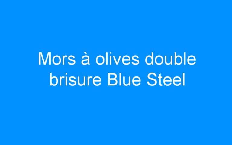 Lire la suite à propos de l’article Mors à olives double brisure Blue Steel