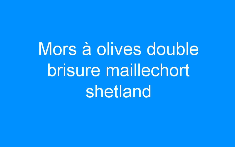 Mors à olives double brisure maillechort shetland