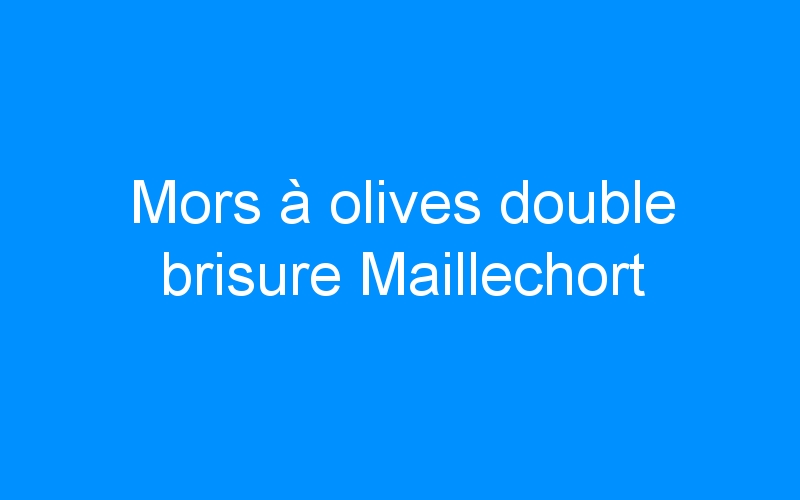 You are currently viewing Mors à olives double brisure Maillechort