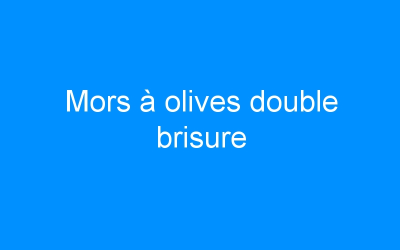 You are currently viewing Mors à olives double brisure