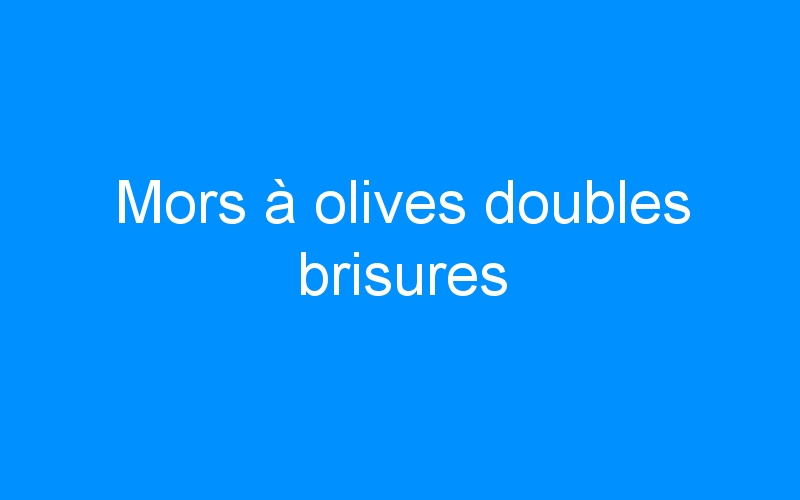 Lire la suite à propos de l’article Mors à olives doubles brisures