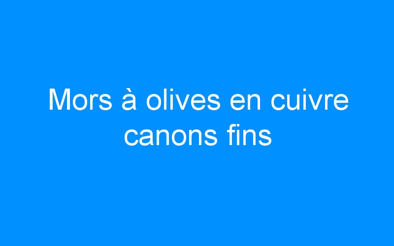 Mors à olives en cuivre canons fins