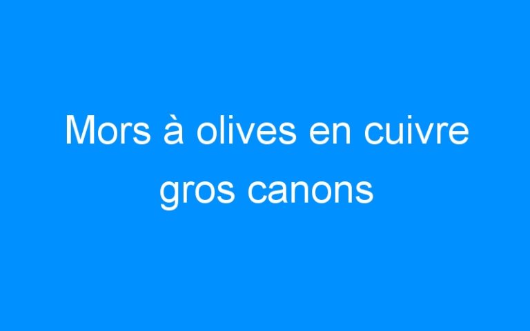 Lire la suite à propos de l’article Mors à olives en cuivre gros canons