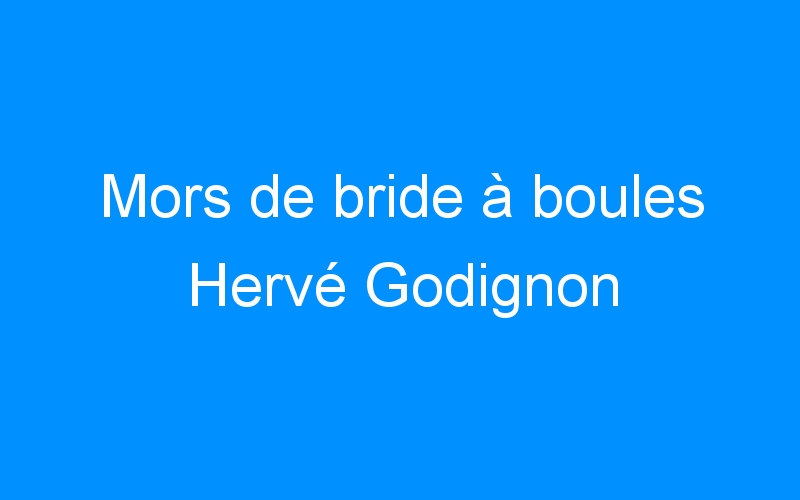 You are currently viewing Mors de bride à boules Hervé Godignon