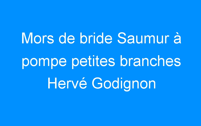 Mors de bride Saumur à pompe petites branches Hervé Godignon