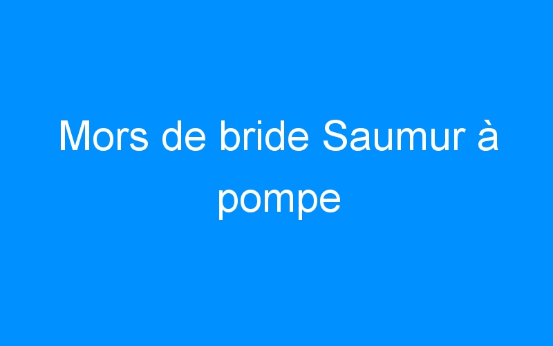 You are currently viewing Mors de bride Saumur à pompe