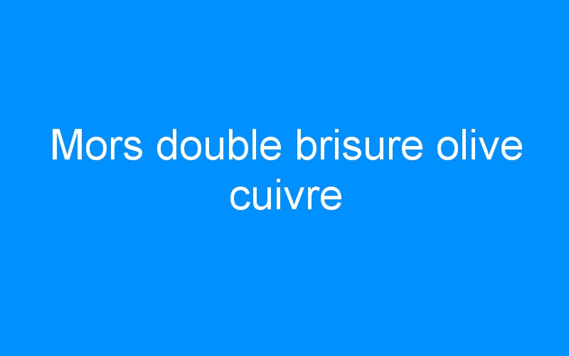 You are currently viewing Mors double brisure olive cuivre