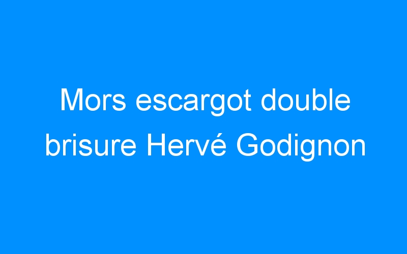 Mors escargot double brisure Hervé Godignon