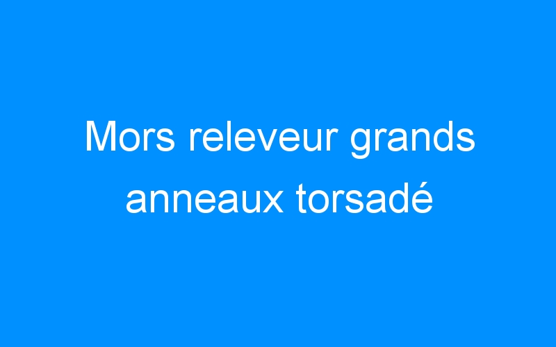 You are currently viewing Mors releveur grands anneaux torsadé