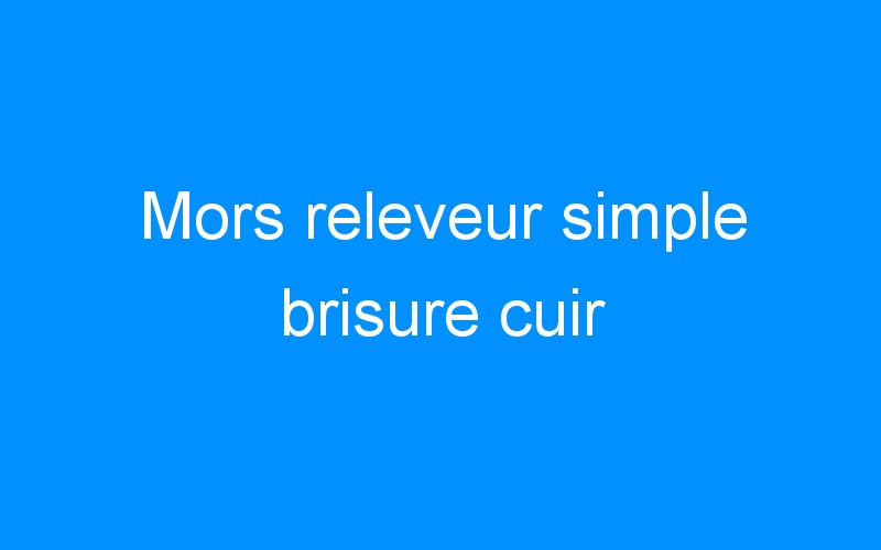 You are currently viewing Mors releveur simple brisure cuir